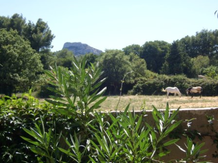 location de gites  saint remy de provence